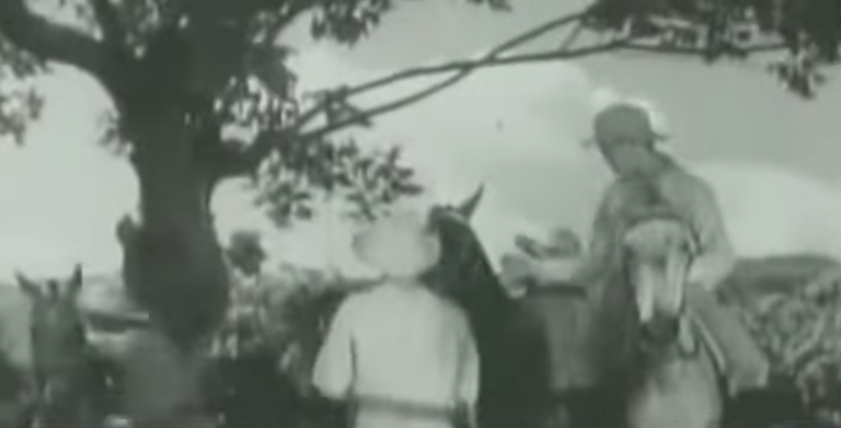 MANUEL GARCÍA O EL REY DE LOS CAMPOS DE CUBA